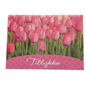 BC19 pink tulipaner